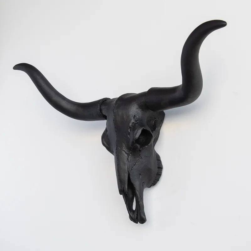 Texas Longhorn Wall Décor | Wayfair Professional