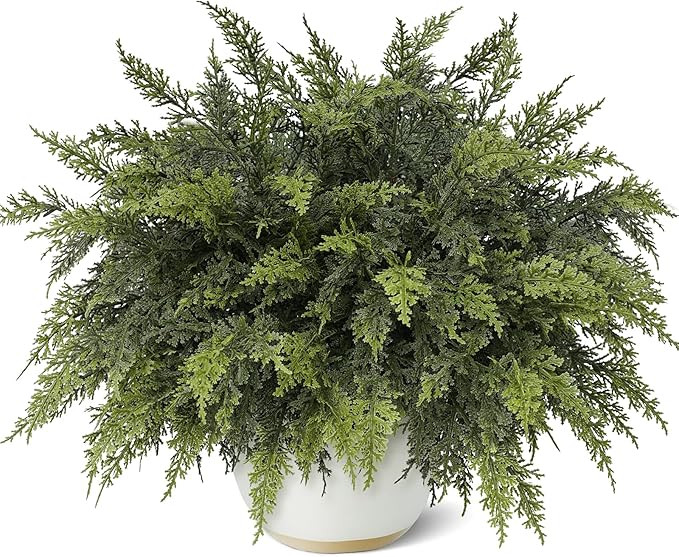 18" Real Touch Cedar Branches -12 Pcs, Artificial Christmas Cedar Branch Realistic Fake Pine Pick... | Amazon (US)