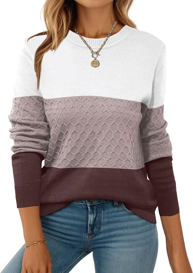 Zeagoo Womens Sweaters Long Sleeve Tops Crew Neck Knit Pullover Sweaters Fall Fashion 2025 Dressy... | Amazon (US)