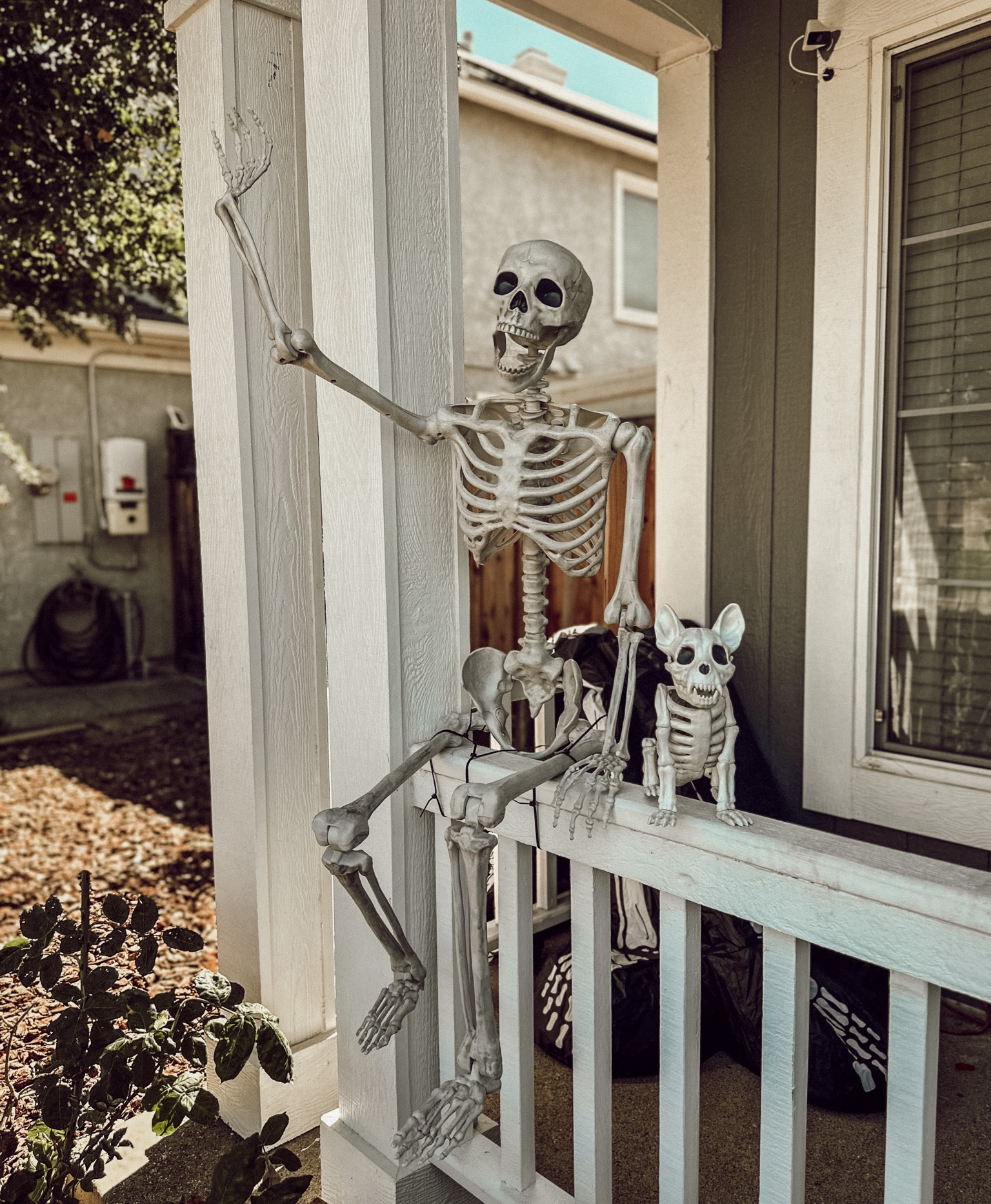 Halloween is in full force over here. My 6 year old loves the skeleton the most & my 2 year old loves the frenchy skeleton the most :) who else is all decorated?! This skeleton comes in gold also and they're both 30% off until the 7th! #target #skeleton #targethalloween #halloweendecor #halloweendecorations #halloweenporch 

#LTKHalloween #LTKsalealert #LTKhome