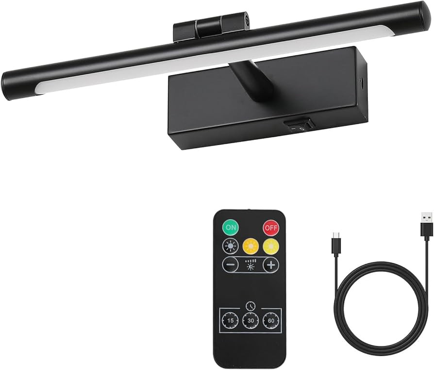 Modern LED Picture Light Dimmable 12.6 "Black Picture Light lampshade can Rotate up or Down 270 D... | Amazon (US)