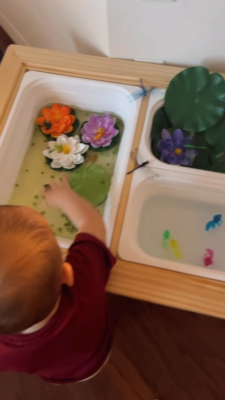 Sensory play time🪷🐸✨

I added a little frozen peas to the big bin. Then I added two drops of the food coloring to make it green. On the right bin I added blue food coloring for the fishes :) 

#LTKGiftGuide #LTKCyberWeek #LTKKids