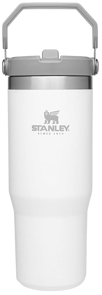 Stanley IceFlow Stainless Steel Tumbler with Straw - Vacuum Insulated Water Bottle for Home, Offi... | Amazon (US)