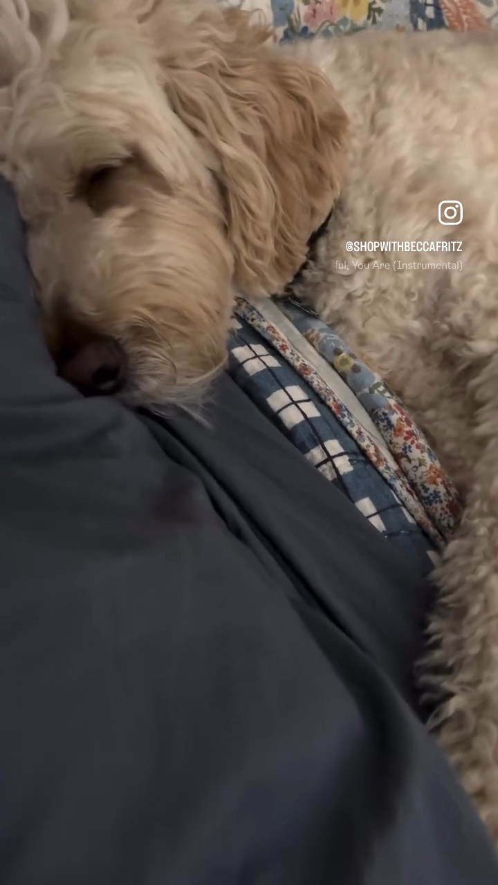 Organic cotton sheets for cozy fall mornings ☁️ soft, breathable, and eco-friendly bedding 🌿
#Naturepedic #OrganicHome #HealthySleep #BedroomRefresh #CozySeason #FallBedding #ad 

#LTKHome #LTKPets