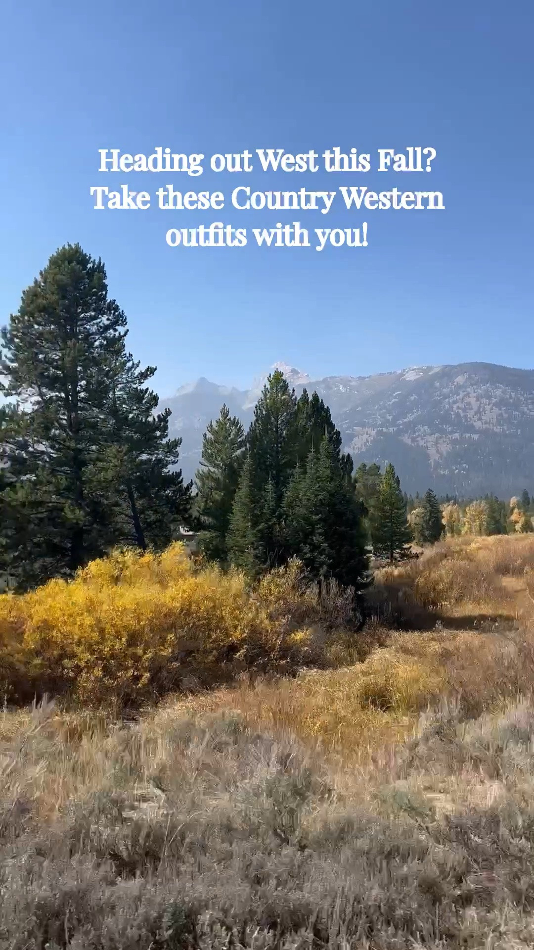 Heading out West this Fall? Take these Country Western outfits with you!

#LTKSeasonal #LTKOver40 #LTKSaleAlert #LTKTravel #LTKgrwm #LTKootd #LTKMidsize #LTKvlog #LTKU #LTKWorkwear