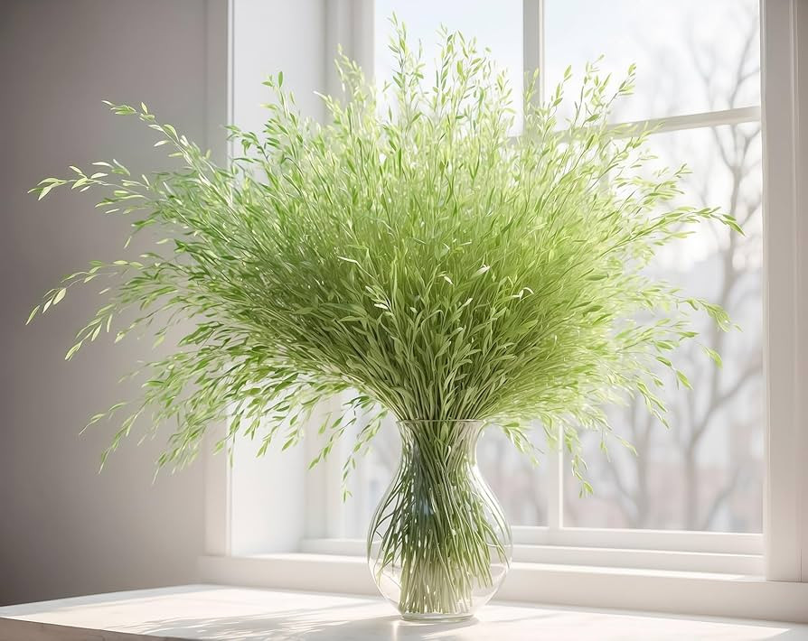 Living Vase Decor - Willow Branches That Grow in Just Water - Great for Table Centerpiece, Weddin... | Amazon (US)