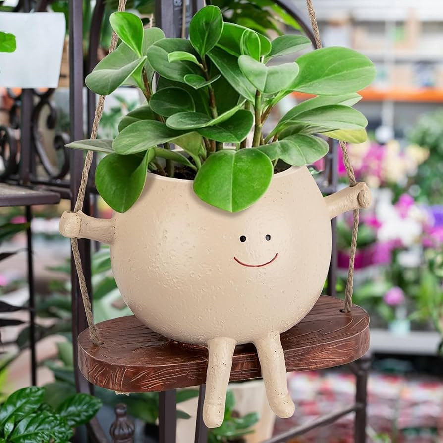 Swing Face Planter Pot Hanging Planters for Indoor Outdoor Wall Plants with Drainage Cute Resin F... | Amazon (US)