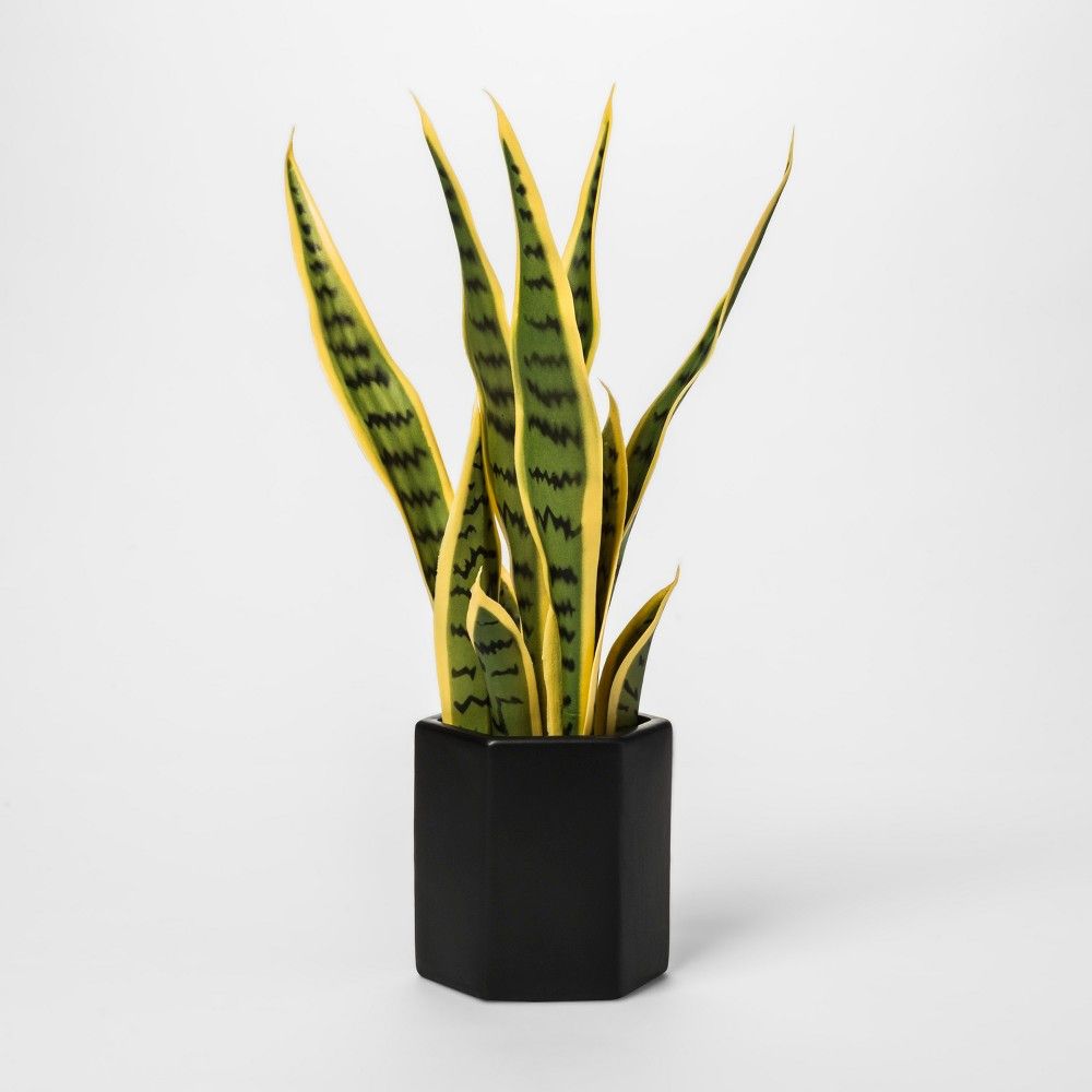Faux Snake Plant in Black Pot - Project 62 | Target