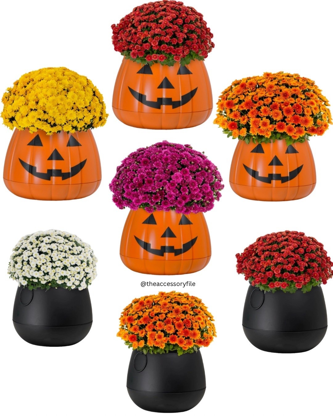 Halloween planters with mums online at @Walmart 

Walmart finds, home finds, home decor, Halloween decor

#LTKSeasonal #LTKHome