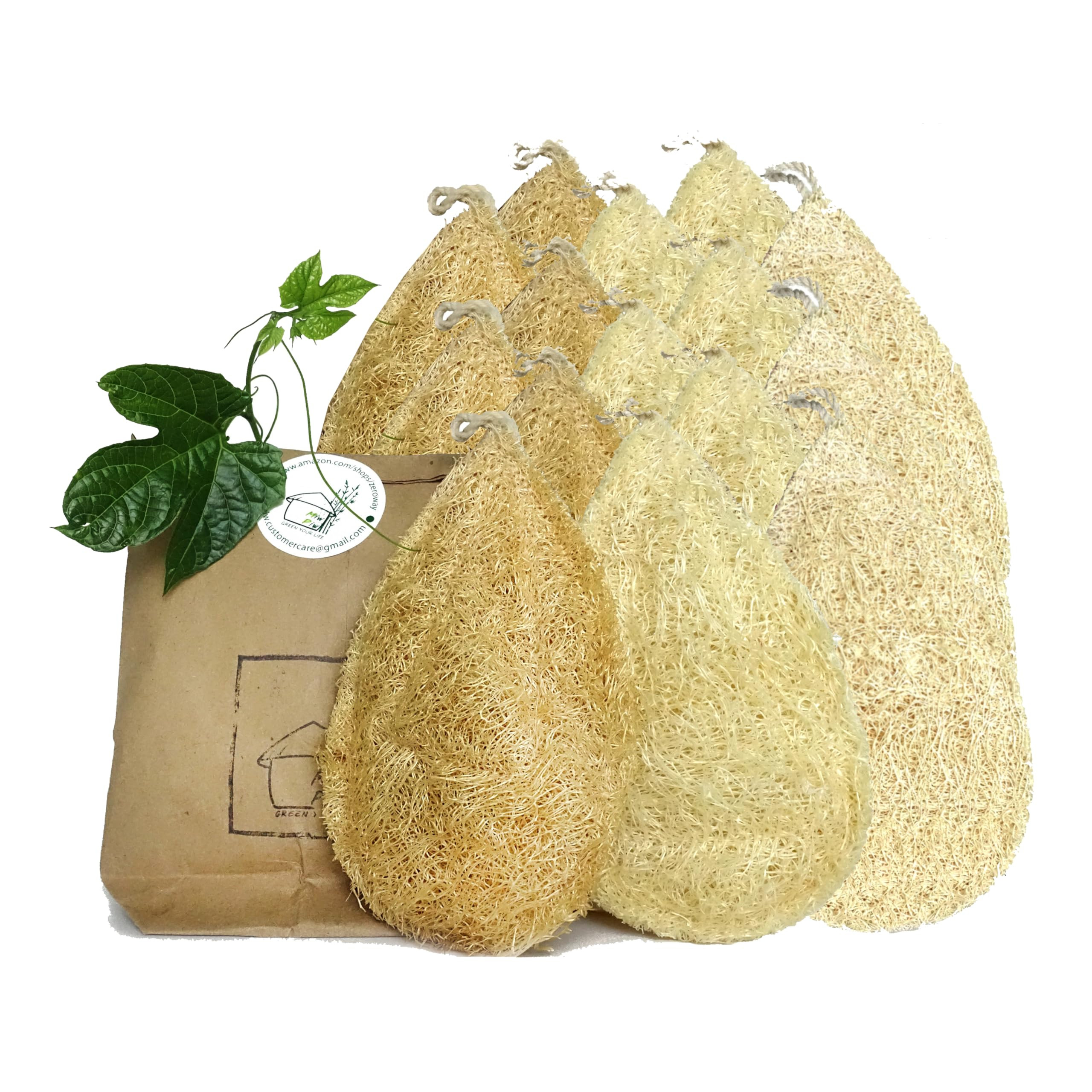 Natural Loofah Dish Sponge (Pack 10) - Vegetable Scrubber for Kitchen - 100% Biodegradable Compos... | Amazon (US)