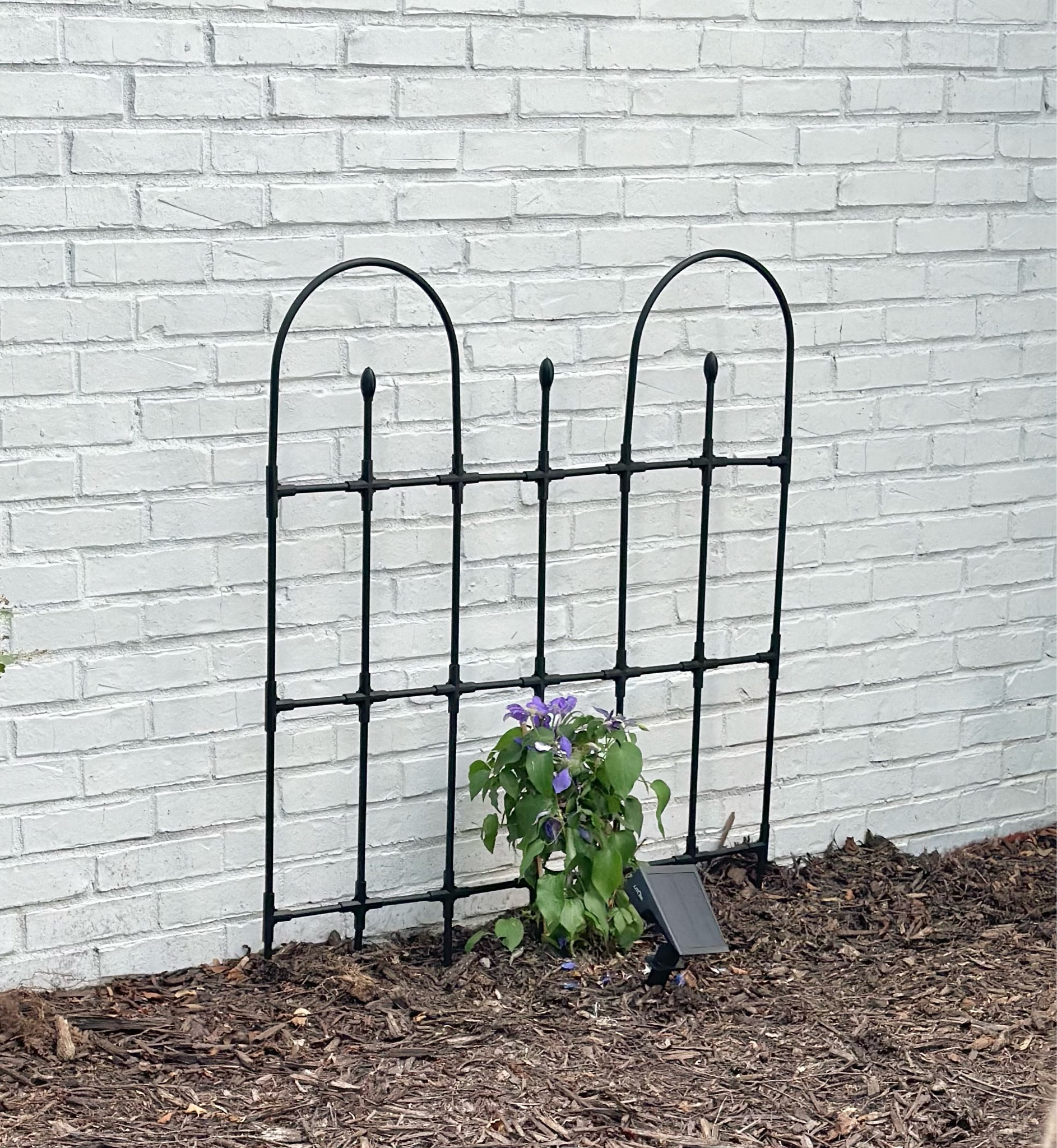 Garden, trellis, climbing plant

#LTKFindsUnder50 #LTKHome #LTKSeasonal