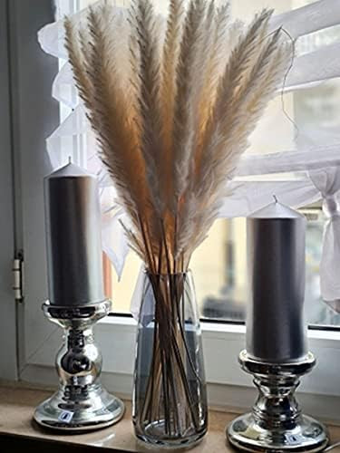 Amazon.com: Glass Clear Vases for Flower, 8.7 Inch Ins Modern Handmade Grey Vase for Centerpieces... | Amazon (US)