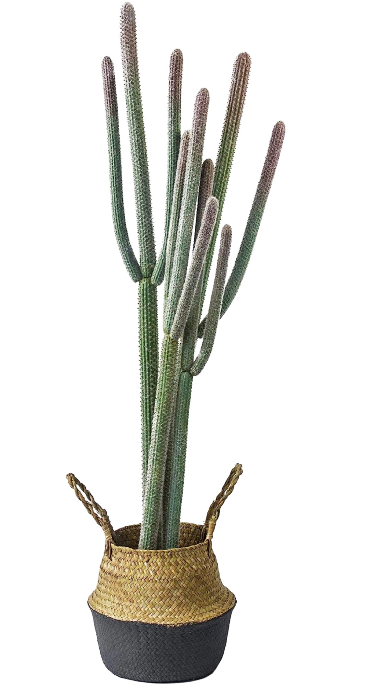 Faux Cactus Plant cactus 🌵 

#boho #bohodeco #western #southwestdecor #homedecor #plants 

#LTKunder50 #LTKhome