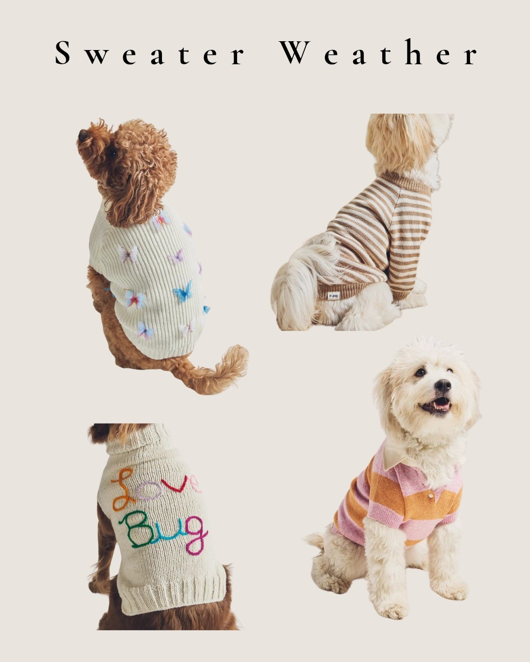 Cozy Anthropologie dog sweaters for fall and winter. Cute, stylish dog clothing perfect for chilly walks and everyday wear.

#LTKFindsUnder50 #LTKSeasonal #LTKFindsUnder100