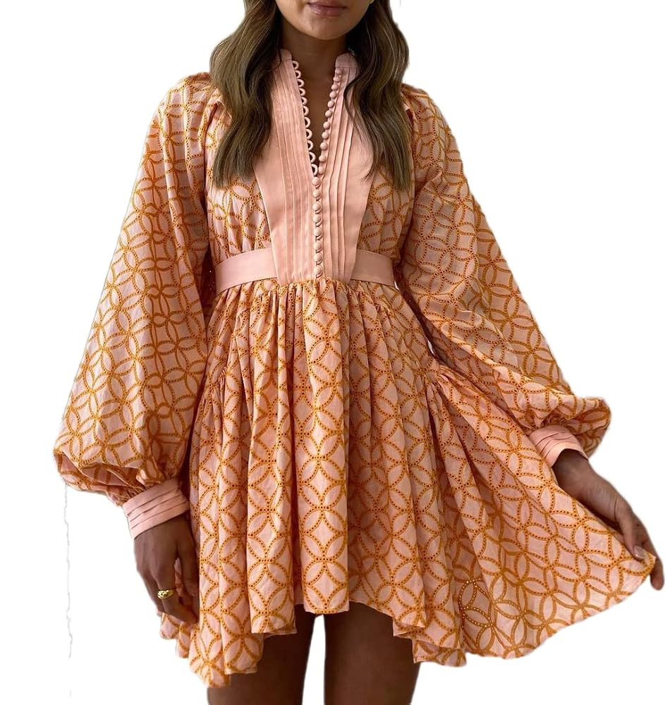 Roiii Women A-Line Lace Loose Baroque Button Down Long Sleeve Casual Dresses V Neck Embroidery Pa... | Amazon (US)