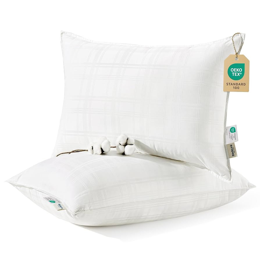 Bedsure Fluffy Bed Pillows for Sleeping - Luxury Queen Size Pillows Set of 2 with 100% Cotton Bre... | Amazon (US)
