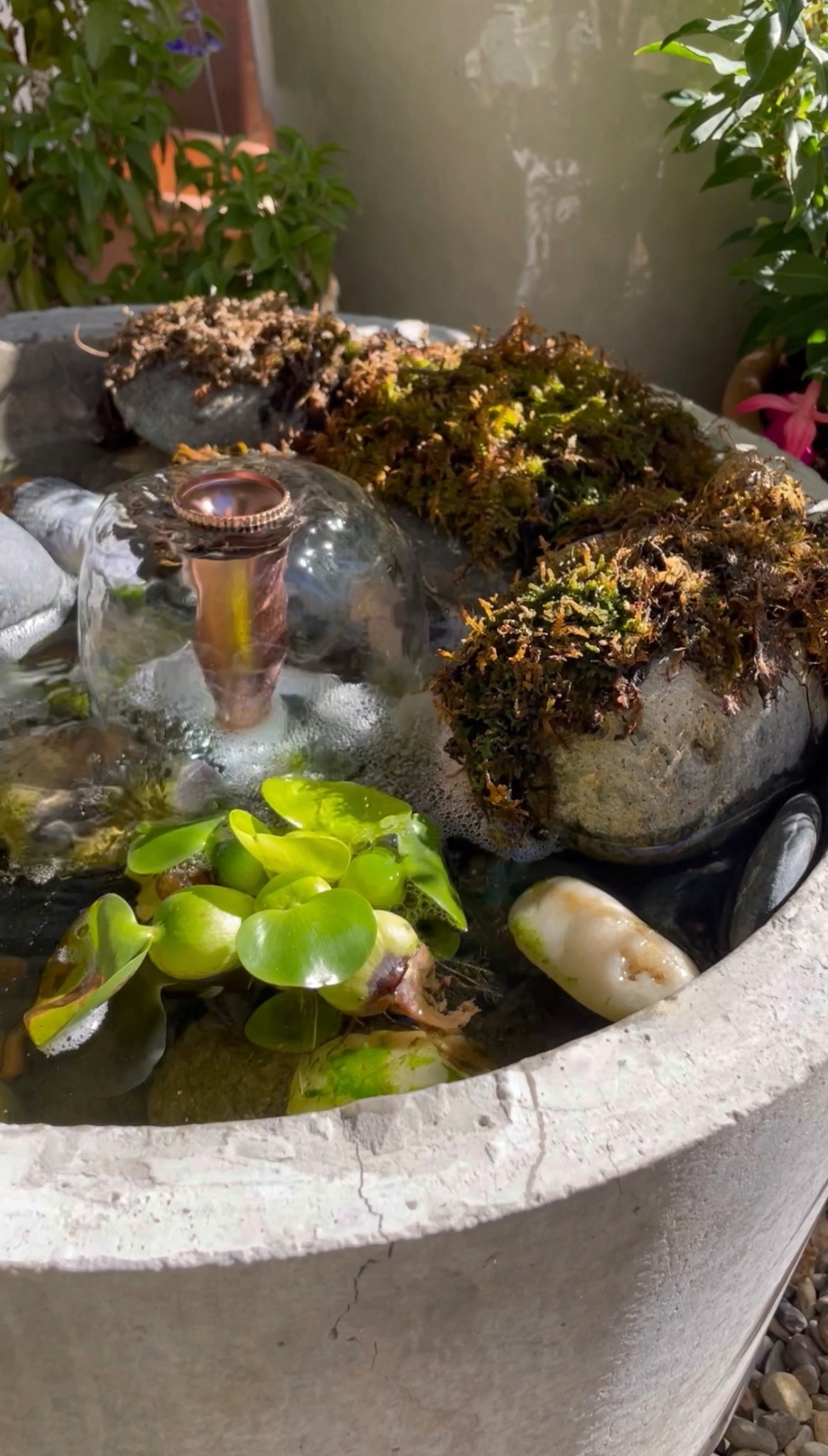 Re sharing my fountain setup! I spray painted the spout with copper spray paint 