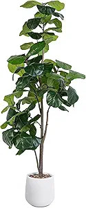 Árbol de hoja de violín artificial, planta sintética de 6 pies, árboles de seda de ficus lyra... | Amazon (US)