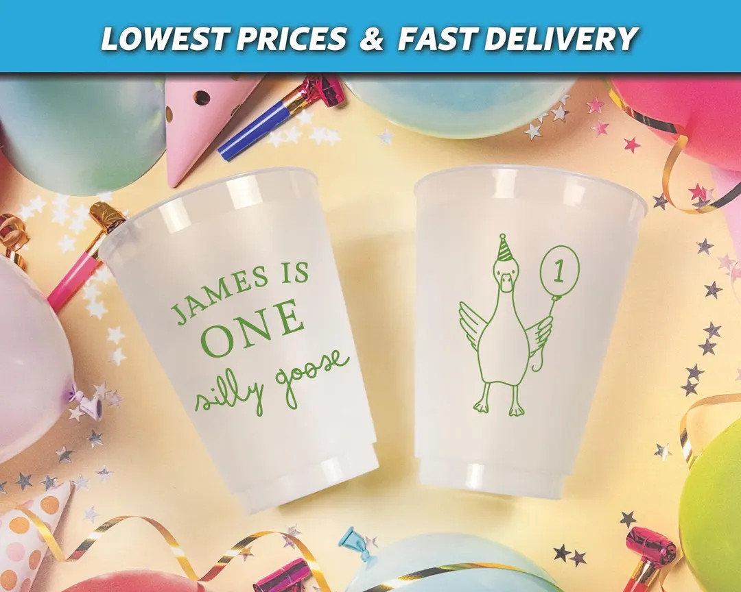 One Silly Goose 1st Birthday Cups, First Birthday Frosted Cups, Goose Party Cups, Silly Goose Bir... | Etsy (US)