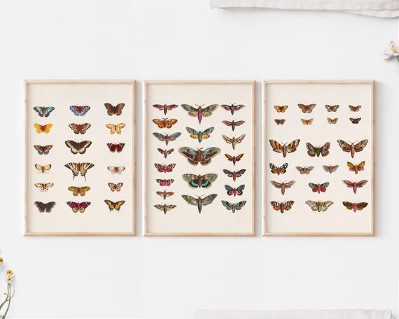 Butterfly Vintage Illustration Set, Vintage Art, Butterfly Wall Art, Printable Wall Art, Instant ... | Etsy (US)