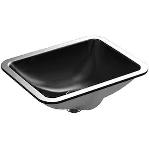 DEERVALLEY Ally 20-7/8 in. Rectangular Undermount Bathroom Sink in Black with Overflow Drain DV-1... | The Home Depot