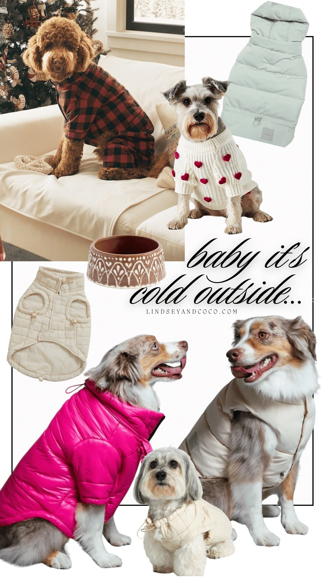 Dog Lovers Gift Guide: Winter Edition
Puffer Vest

Scroll to shop. I’m so glad you’re here. 
#LTKPet


#LTKmomlife #LTKSeasonal #LTKGiftGuide