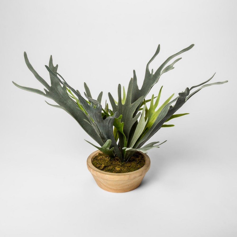 14.5"" x 14"" Artificial Staghorn Fern In Pot - Threshold | Target
