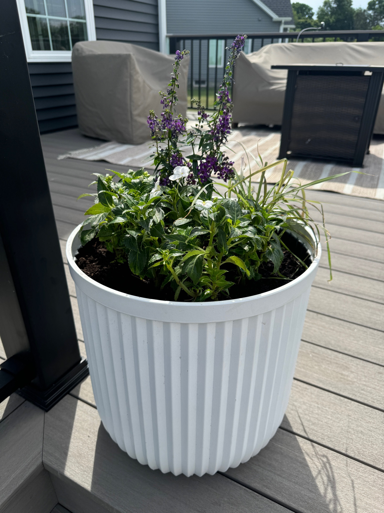 The best planter dupe available right now at Walmart! 

#LTKFindsUnder100 #LTKSeasonal #LTKFindsUnder50