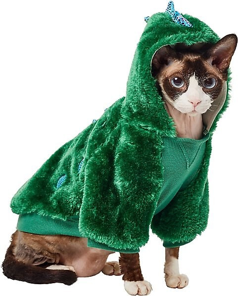 FRISCO Cozy Dinosaur Dog & Cat Hoodie, Small - Chewy.com | Chewy.com