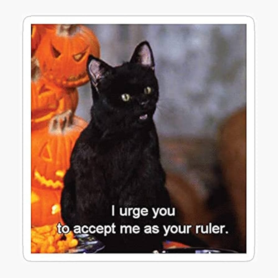 Pack of 2 3" Stickers - Saberhagen Salem Cat Teenage Witch Buffy Sabrina Halloween The Sticker Gr... | Amazon (US)