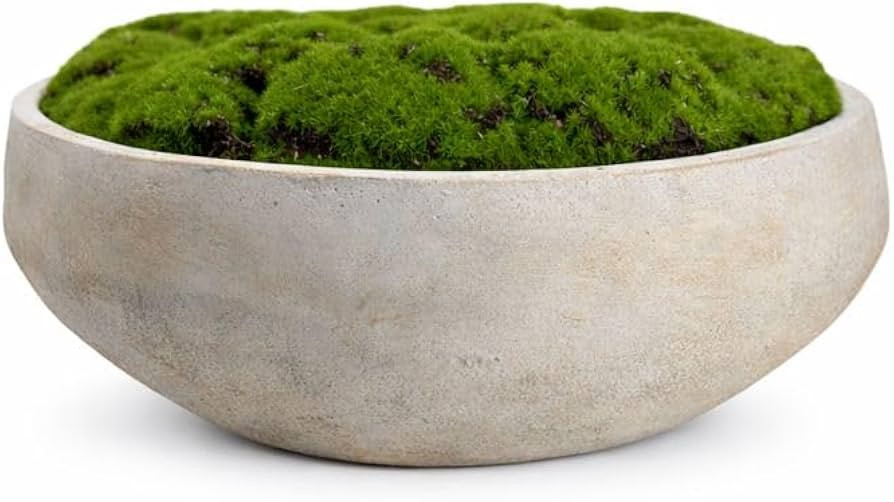 Hand Painted Cement Moss Bowl | 12 Inch | Artificial Moss Centerpiece | Decorative Coffee Table B... | Amazon (US)