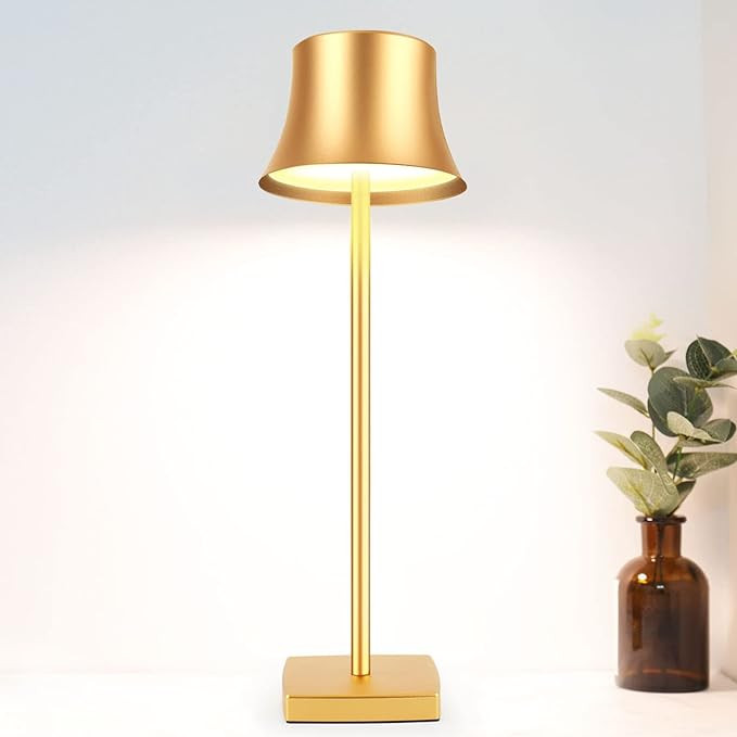 LED Desk Lamp Cordless Table Light, Rechargeable Battery Powered USB Charging Port 2 Levels Brigh... | Amazon (US)