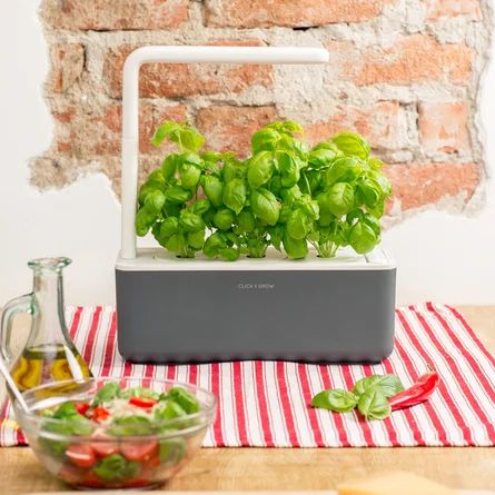 The Smart Garden 3 | Wayfair North America