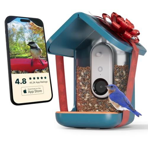 BIRD BUDDY® Original Solar Bird Feeder with Camera - AI Bird Species Identification, 5MP Photos, 2K HD+ Video Live Stream Camera, Solar-Powered Charging, 2.8in Focus - Blue | Amazon (US)