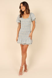 Marabella Shirred Mini Dress - Blue | Petal & Pup (US)
