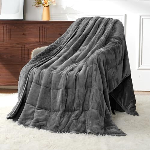 Uttermara Weighted Blanket Queen Size 15lbs 60x80 inches with Soft Plush Fleece, Cozy Warm Sherpa... | Amazon (US)