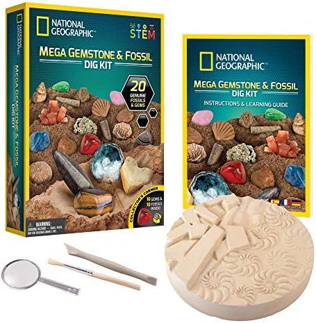 YOUR KIDS WILL ENJOY HOURS OF FUN - This extra-large dig brick has 20 incredible gemstone and fos... | Amazon (US)