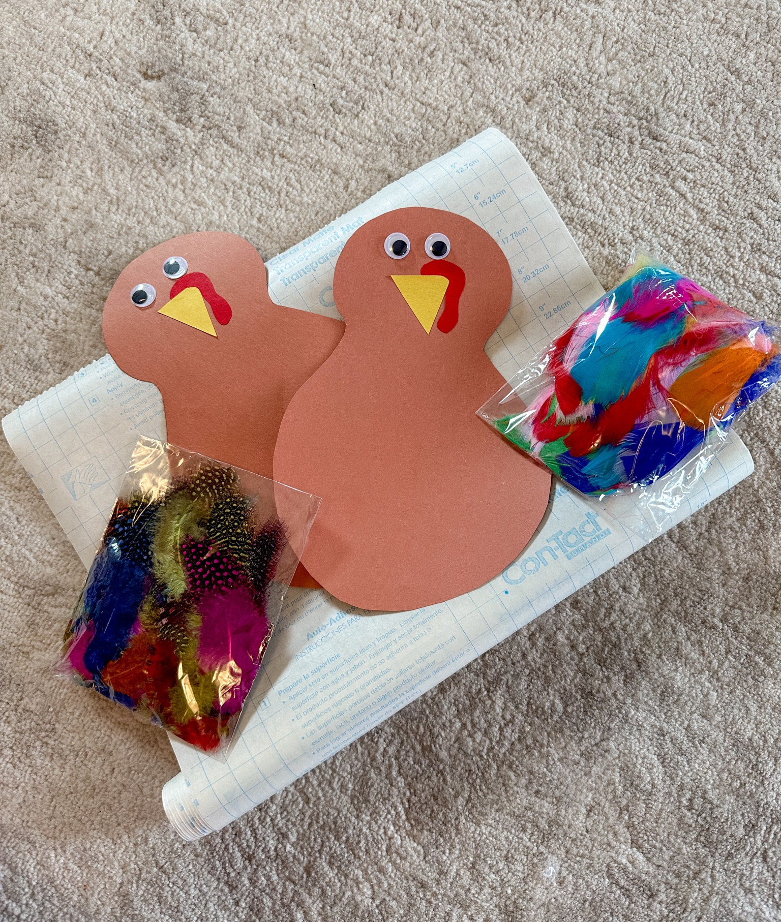 Thanksgiving turkey craft with feathers for kids 

#LTKHoliday #LTKkids #LTKSeasonal