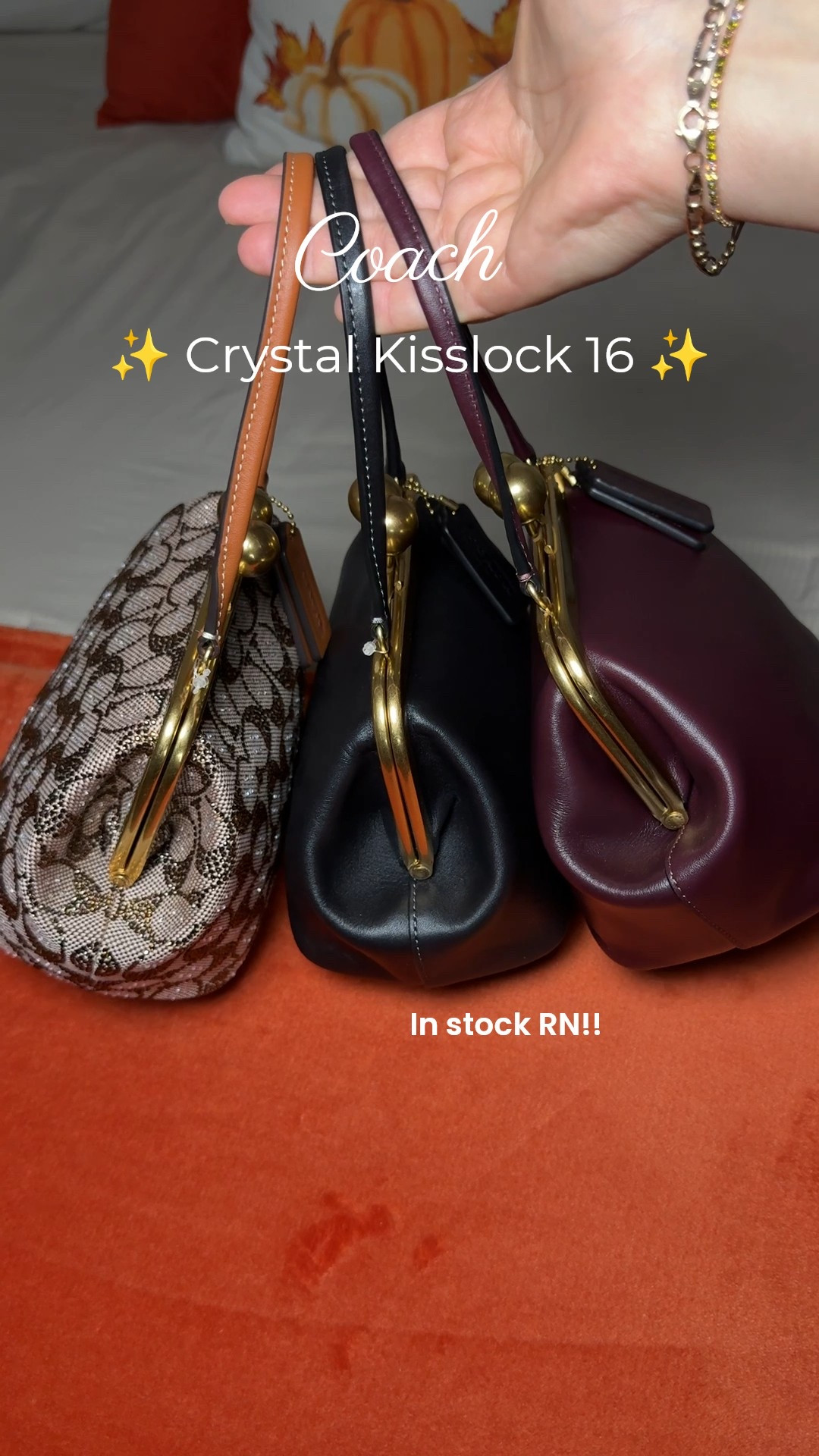 Coach Crystal Kisslock 16 

#LTKGiftGuide #LTKCyberWeek #LTKgrwm