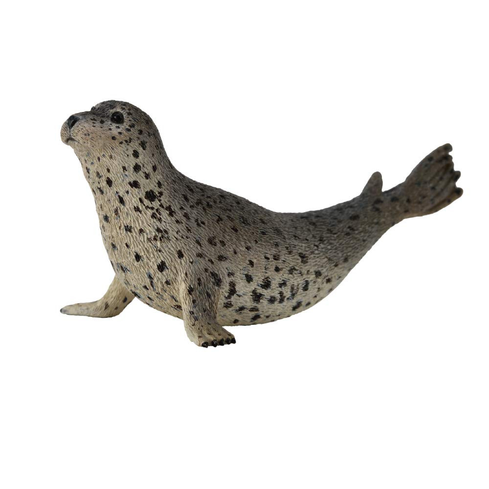 CollectA Sea Life Spotted Seal Toy Figure - Authentic Hand Painted Model | Amazon (US)