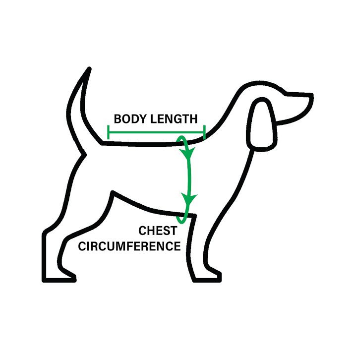 Lightweight Scalloped Pet Sweater | Mark and Graham