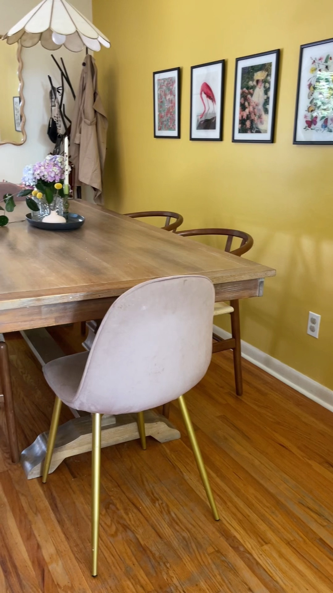 🪴💐🧺🎀🎨✨🧘🏼‍♀️🪩

I like to think of my home as my canvas. Full of things we love! It’s collected: a little maximalist, a little modern, a little vintage, a little colorful, a little neutral, & a whole lot of love! Plus tons of plants!

This dining room has turned into such a fun space. It was blank for so long until I figured out what I wanted here. I’m obsessed with it!

These chairs are on sale for Target circle week! Come in a set of 2 & tons of colors! We’ve had them for years now! I love them as the captains chairs! 🪑 








Dining room, home decor, dining room decor, dining room furniture, dining room chairs



#LTKHome #LTKSummerSales #LTKStyleTip