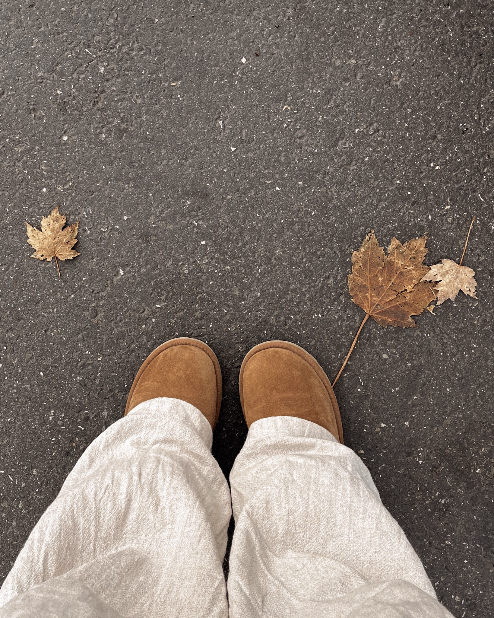 linen pants with alpaca sweater and uggs 🍂 🍁 ☕️ cute fall outfit 🤍