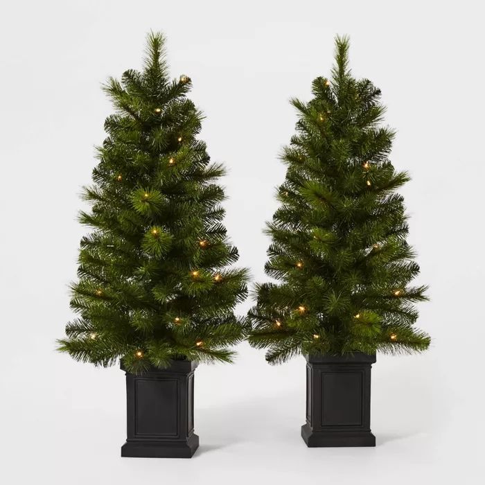 2ct/3.5ft Pre-lit Artificial Christmas Tree Potted Douglas Fir Clear Lights - Wondershop™ | Target