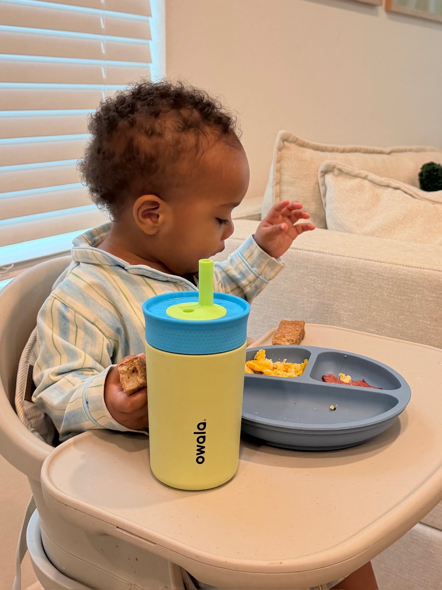 Breakfast time for Koa 🍴 I love these suction silicone plates, they don’t move! 

#LTKBaby #LTKHome #LTKmomlife