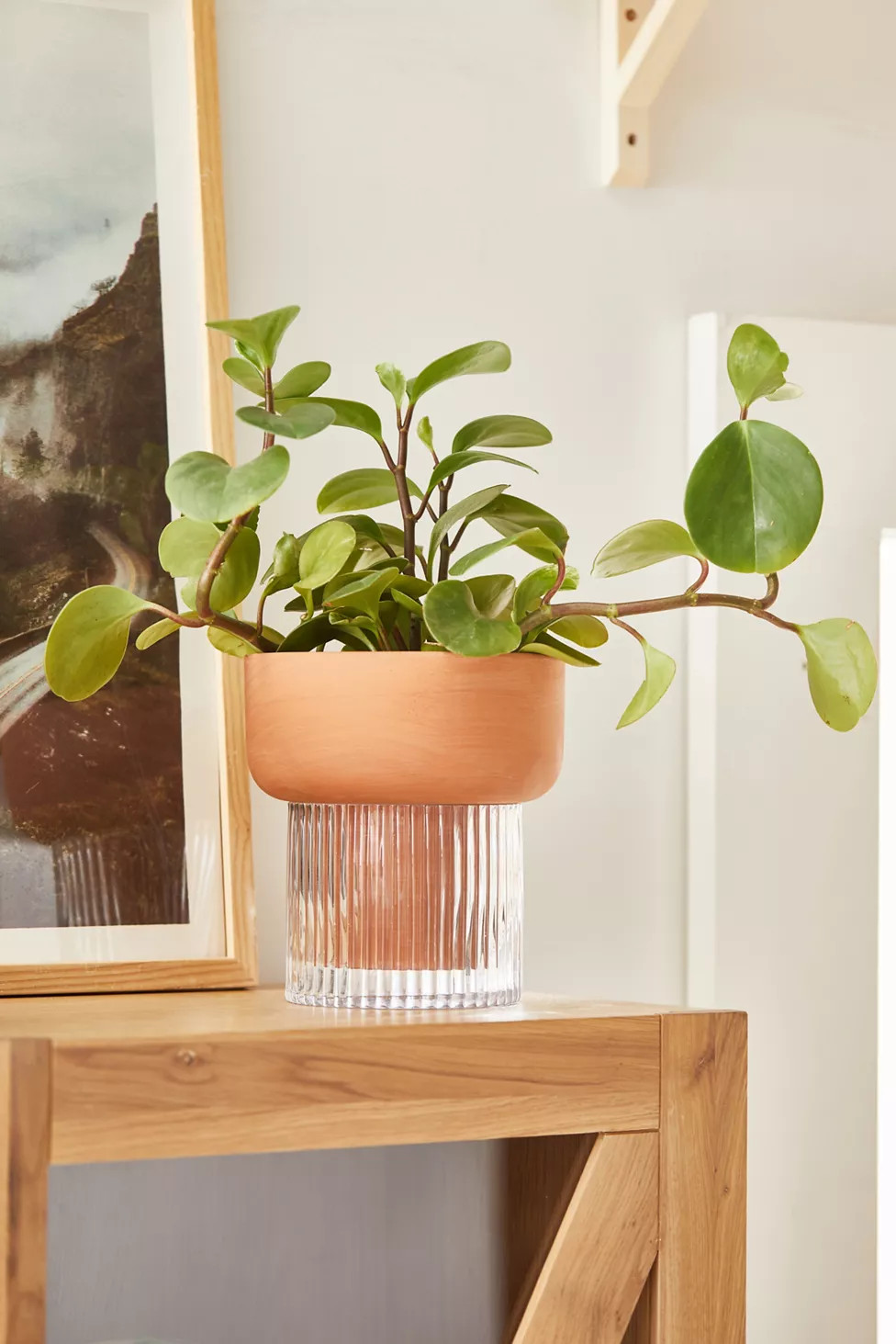 Izzie Self-Watering Planter | Urban Outfitters (US and RoW)