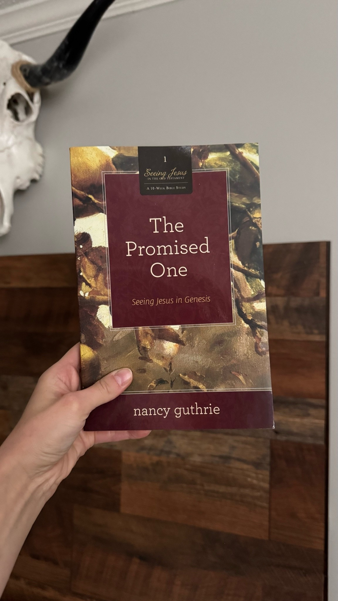 Seeing Jesus in the Old Testament Bible studies by Nancy Guthrie ❤️