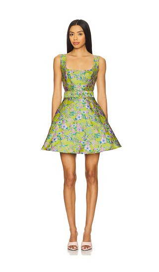 ELLIATT Zenobia Mini Dress in Multi. - size M | Revolve Clothing (Global)