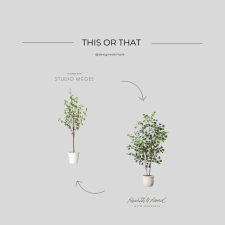 This or that - faux ficus tree, accent tree, faux tree for spring - Studio McGee at Target, Hearth & Hand at Target, Studio McGee at Target new collection, Hearth & Hand at Target new collection 


#LTKhome #LTKSeasonal #LTKstyletip