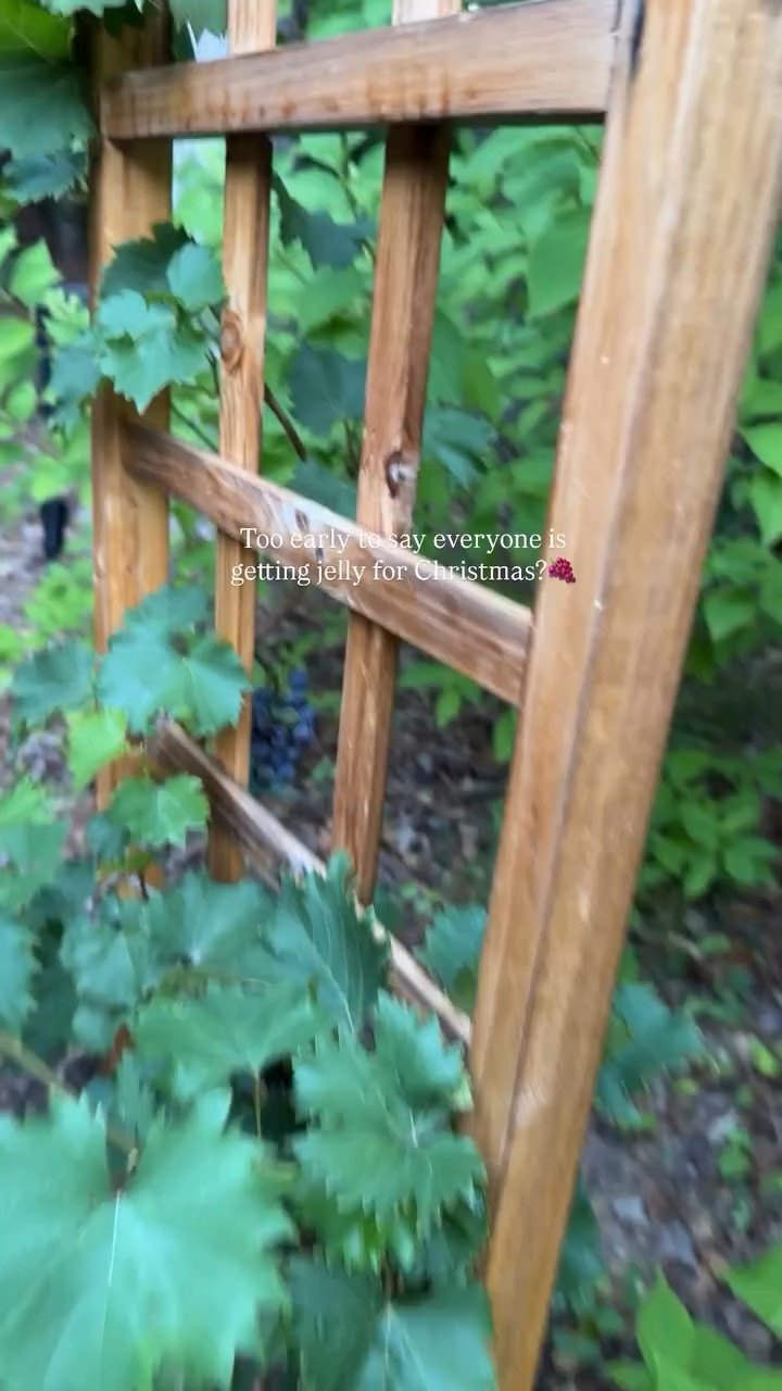 Our new trellis 😍